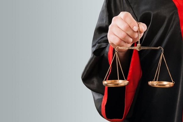 Học luật kinh tế đóng góp cho xã hội 