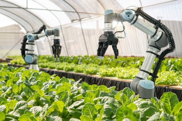 Nông nghiệp công nghệ cao là gì