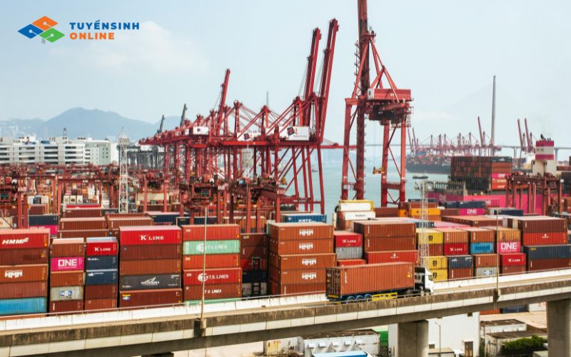 Con gái nên học ngành kinh tế nào tốt