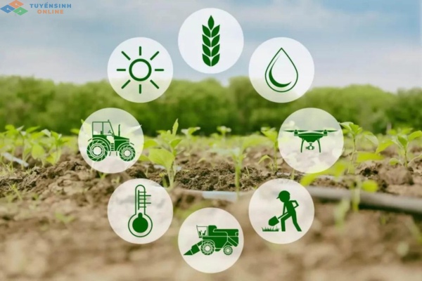 lợi ích học nông nghiệp công nghệ cao hệ từ xa