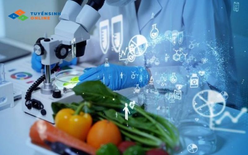 Ngành Công nghệ thực phẩm học gì?