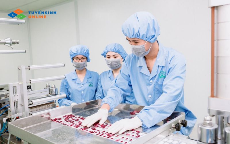 Học ngành Công nghệ thực phẩm ra trường có dễ xin việc không?