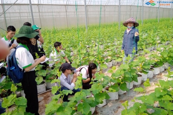 nông nghiệp công nghệ cao hệ từ xa đại học nông lâm Thái nguyên