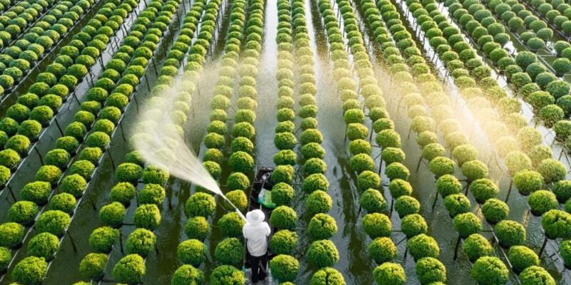 Nông học dễ xin việc vì ngành nghề “Hot”