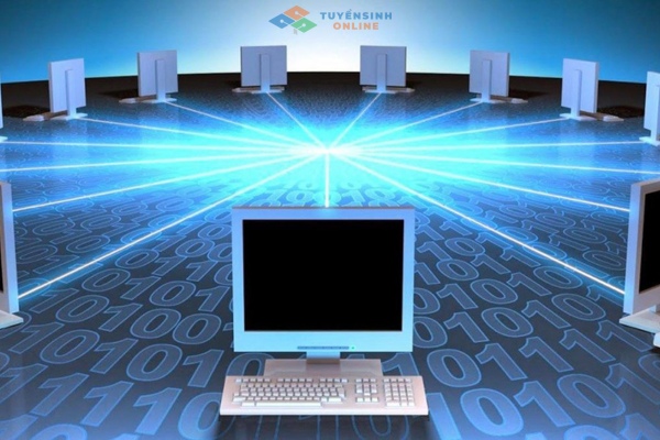 Ngành Công nghệ thông tin gồm những môn học nào