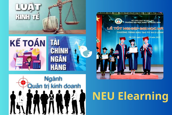 dai-hoc-kinh-te-quoc-dan-he-tu-xa-dao-tao-nganh-hoc-nhu-nao Đại học Kinh Tế Quốc Dân hệ từ xa đào tạo ngành học như nào