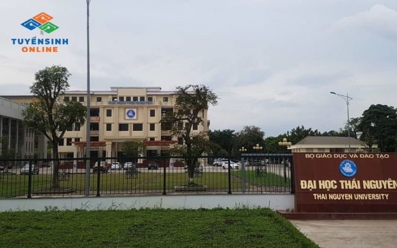 Các trường đào tạo từ xa ngành Ngôn ngữ Anh