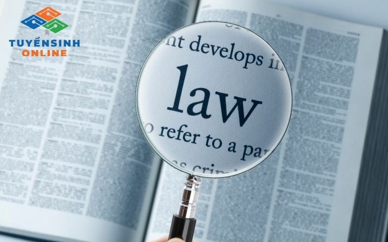 Cơ hội việc làm của ngành Luật