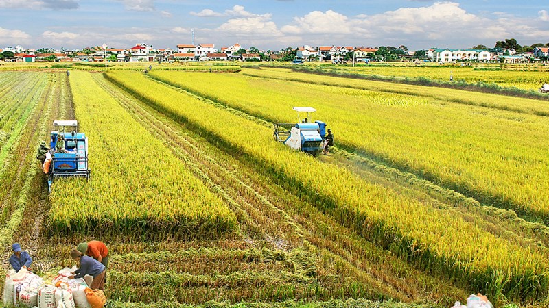 đào tạo từ xa Kinh Tế Nông Nghiệp