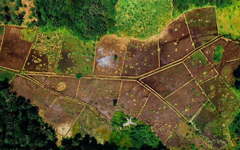 Quản lý đất đai đảm bảo sự cân bằng giữa phát triển kinh tế, an sinh xã hội và bảo vệ môi trường