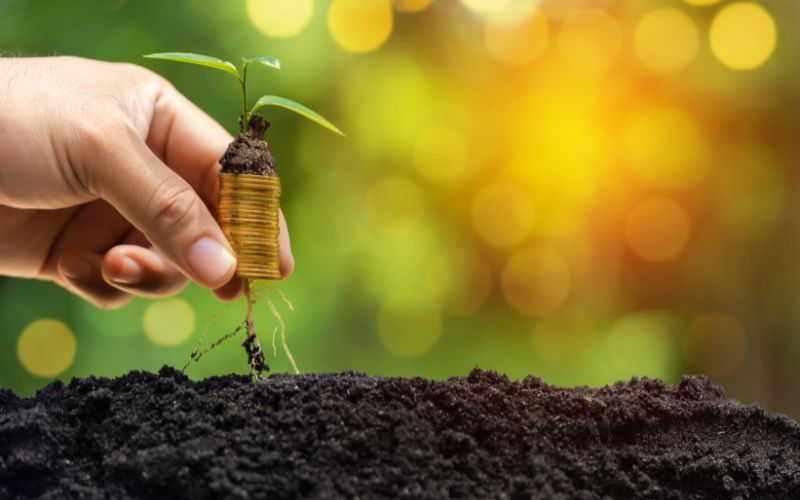 Mức thu nhập khi tốt nghiệp ngành quản lý tài nguyên và môi trường đào tạo từ xa