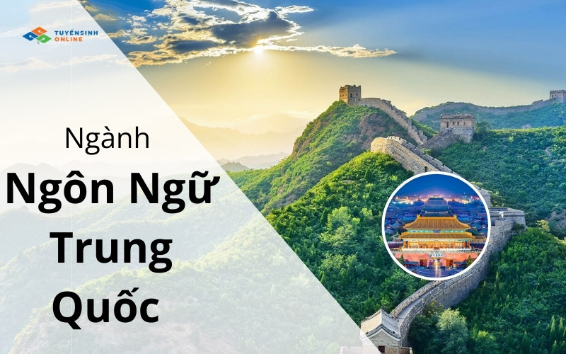 Ngành ngôn ngữ Trung Quốc 