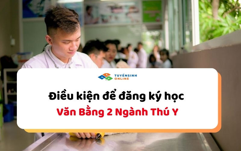 Điều kiện để đăng ký học văn bằng 2 thú y