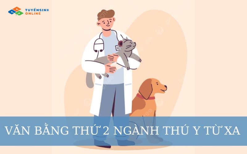 Học văn bằng 2 thú y xong có thể làm công việc gì?