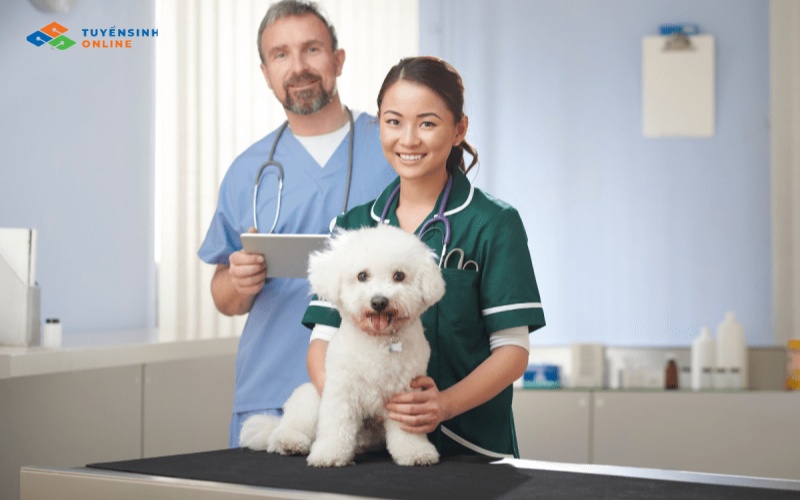 Lợi ích khi học văn bằng 2 Thú Y