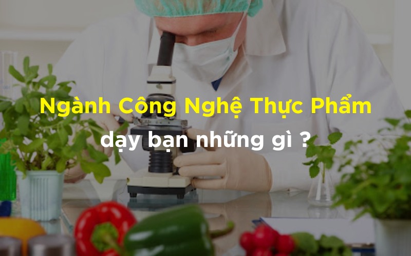 Ngành công nghệ thực phẩm dạy bạn những gì Ngành công nghệ thực phẩm dạy bạn những gì