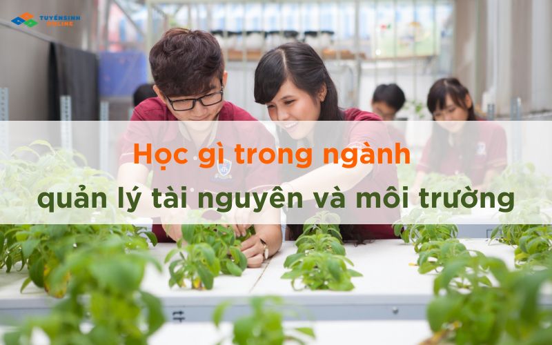 hoc-gi-trong-nganh-quan-ly-tai-nguyen-va-moi-truong Học gì trong ngành quản lý tài nguyên và môi trường
