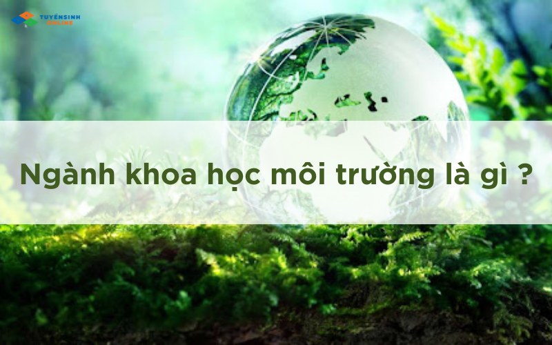 Ngành khoa học môi trường là gì