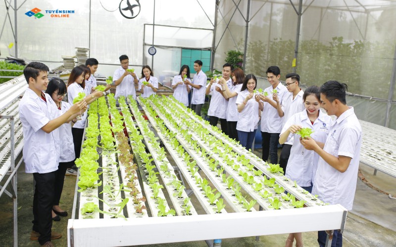 nganh-quan-ly-tai-nguyen-va-moi-truong-co-the-lam-cong-viec-gi Ngành quản lý tài nguyên và môi trường có thể làm công việc gì