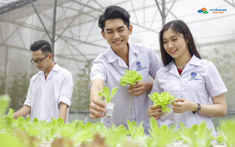 nhung-ky-nang-dat-duoc-khi-hoc-quan-ly-tai-nguyen-va-moi-truong Những kỹ năng đạt được khi học quản lý tài nguyên và môi trường