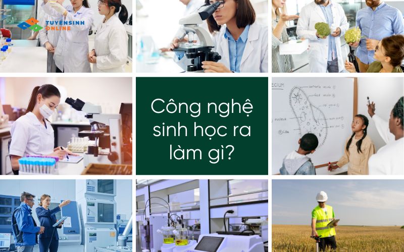 Học ngành Công nghệ Sinh học ra trường làm gì?