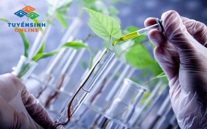Địa chỉ trường đào tạo đại học từ xa ngành Công nghệ sinh học uy tín