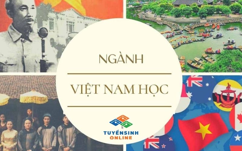 Đối tượng tuyển sinh của ngành đào tạo từ xa Việt Nam Học