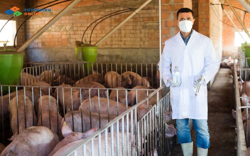 Cơ hội việc làm khi tốt nghiệp đào tạo từ xa ngành Thú y