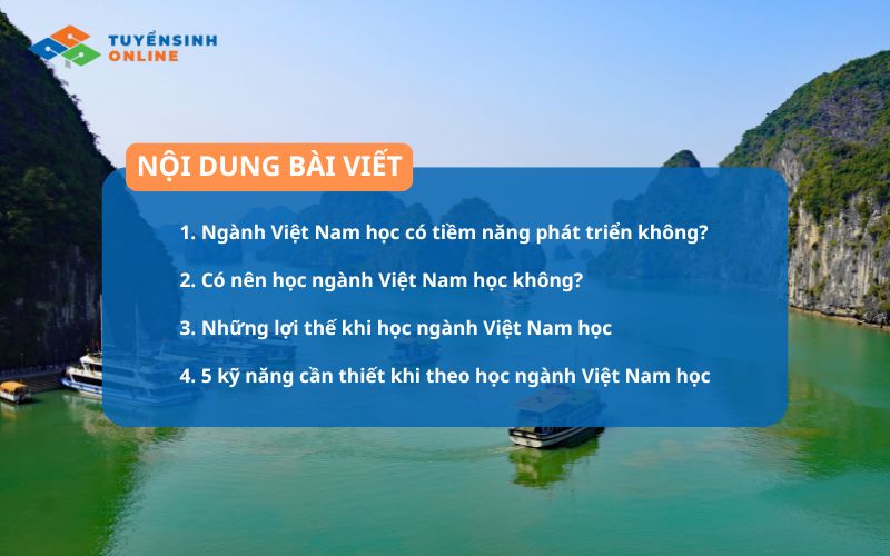 Có nên học ngành Việt Nam học năm 2026 không?