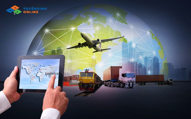 Cần có kỹ năng gì để học tốt ngành Logistics