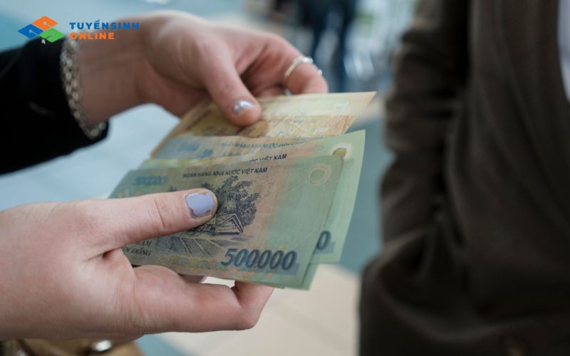 Các yếu tố ảnh hưởng đến mức lương ngành Việt Nam học