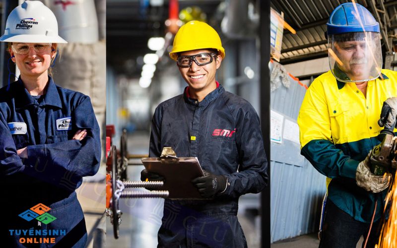 Lương ngành bảo hộ lao động sau khi tốt nghiệp