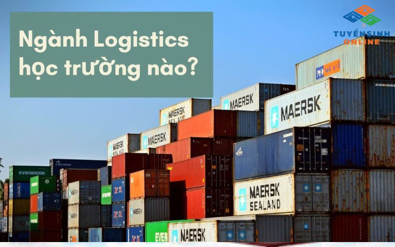 Ngành Logistics học trường nào? TOP 7 trường học chất lượng