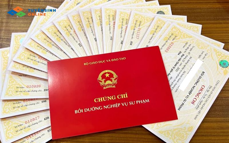 Các yêu cầu cần thiết để trở thành giảng viên ngành Việt Nam học