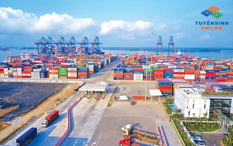 Những nhầm lẫn phổ biến về ngành logistics