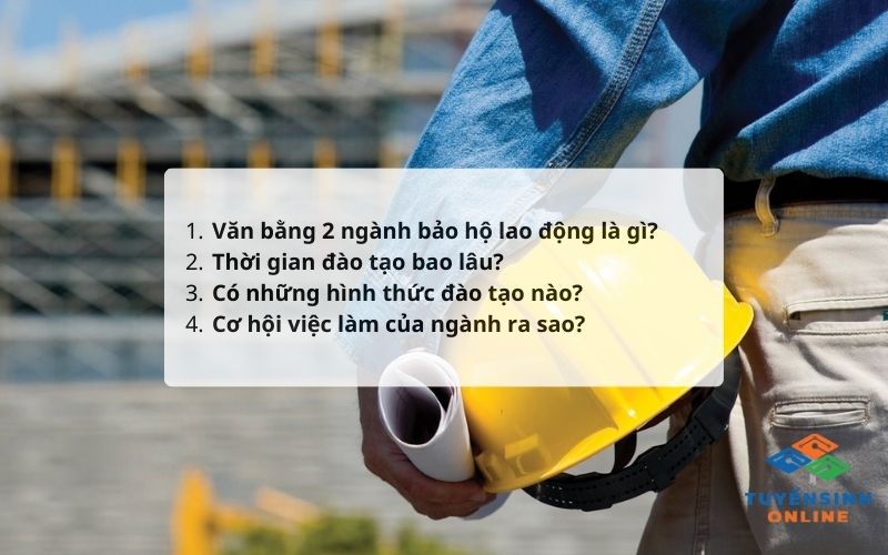 van bang 2 nganh bao ho lao dong anh 1