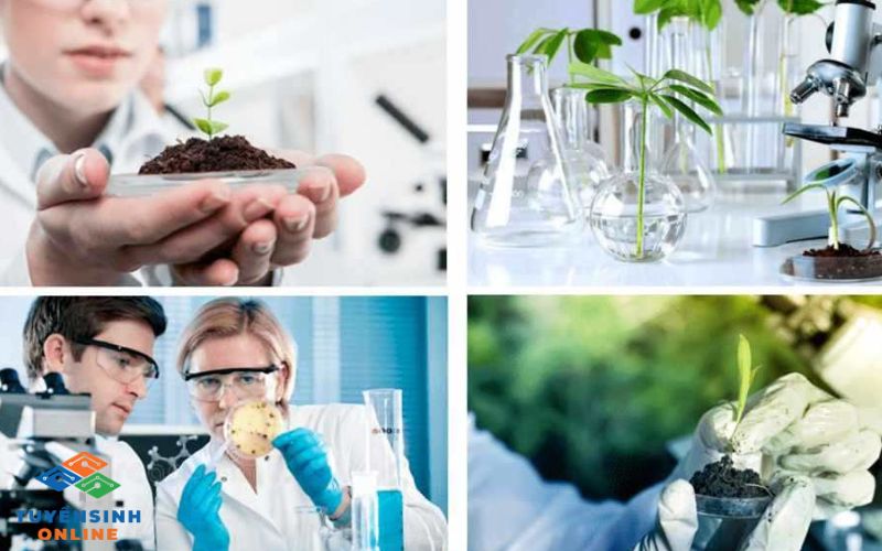 Các yếu tố ảnh hưởng đến mức lương ngành công nghệ sinh học