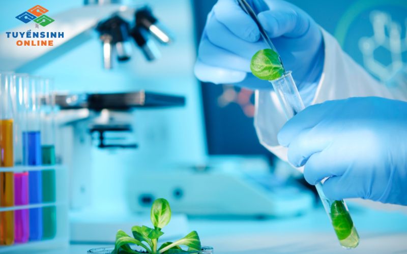 Lộ trình thăng tiến trong ngành