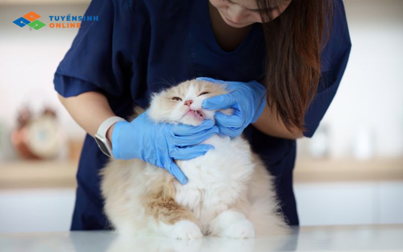 Ngành thú y đối với nữ có phù hợp không? Giải đáp chi tiết 2