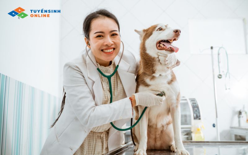 Ngành thú y đối với nữ có phù hợp không? Giải đáp chi tiết 3