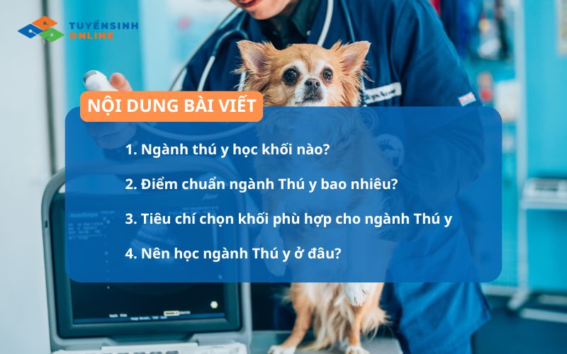 Ngành thú y học khối nào? Các tổ hợp xét tuyển mới nhất 2026
