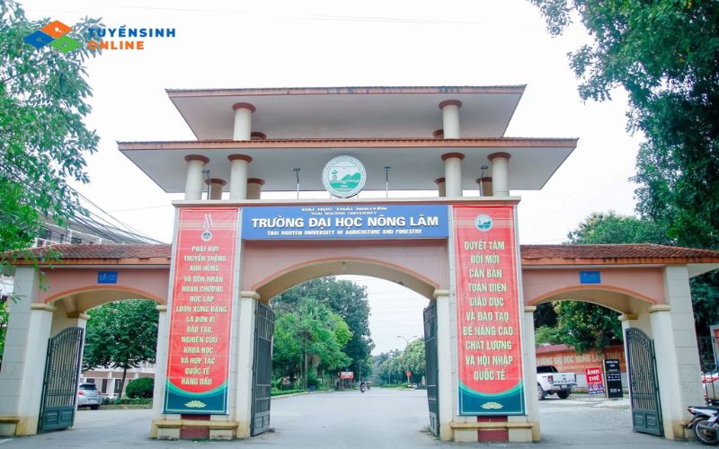 Nên học ngành Thú y ở đâu?