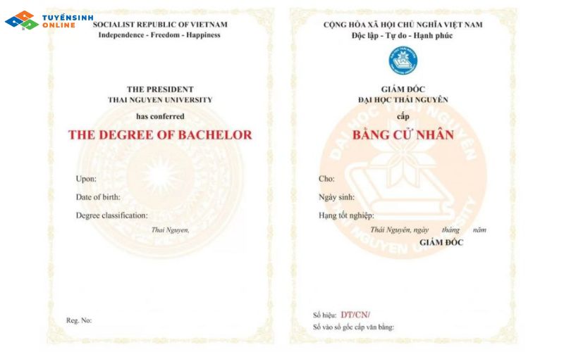 Tuyển sinh văn bằng 2 ngôn ngữ Anh Đại học Thái Nguyên 2026