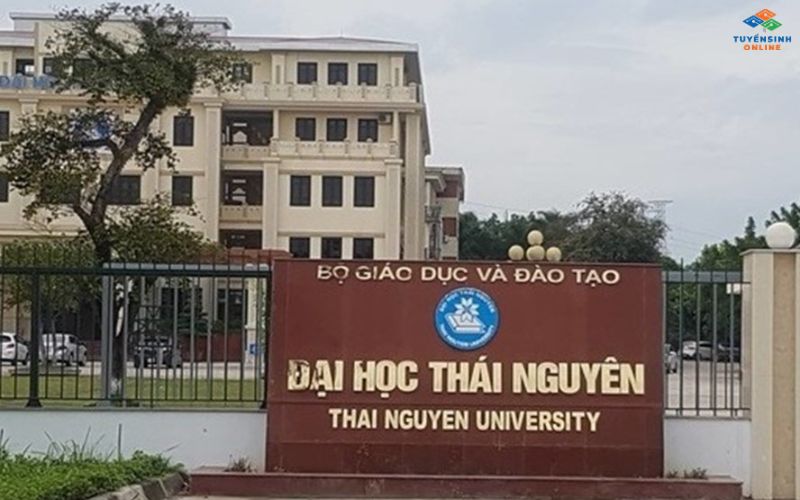 Lưu ý các yếu tố trước khi nộp hồ sơ du học với bằng đại học từ xa