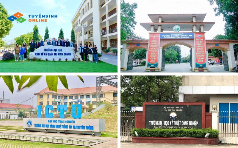Giải đáp: Đại học Thái Nguyên có xét học bạ không?