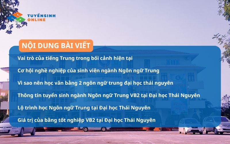 Thông tin về Học văn bằng 2 ngôn ngữ Trung Đại học Thái Nguyên cập nhật 2026