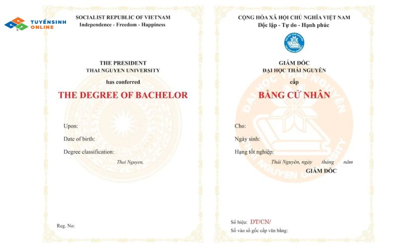 Bằng đại học từ xa là gì?