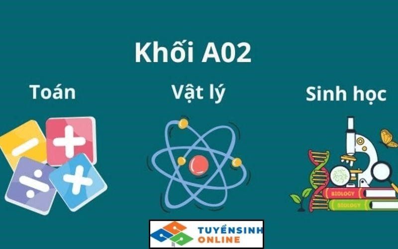 Tổ hợp khối A02 bao gồm những môn gì?