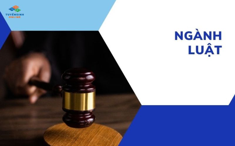 Đào tạo từ xa ngành Luật Trường Đại học Mở Hà Nội