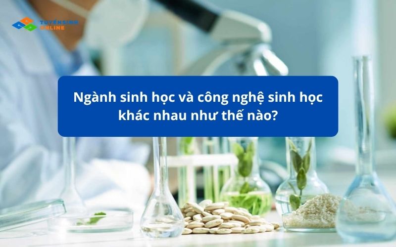 ngành sinh học và công nghệ sinh học khác nhau chỗ nào?